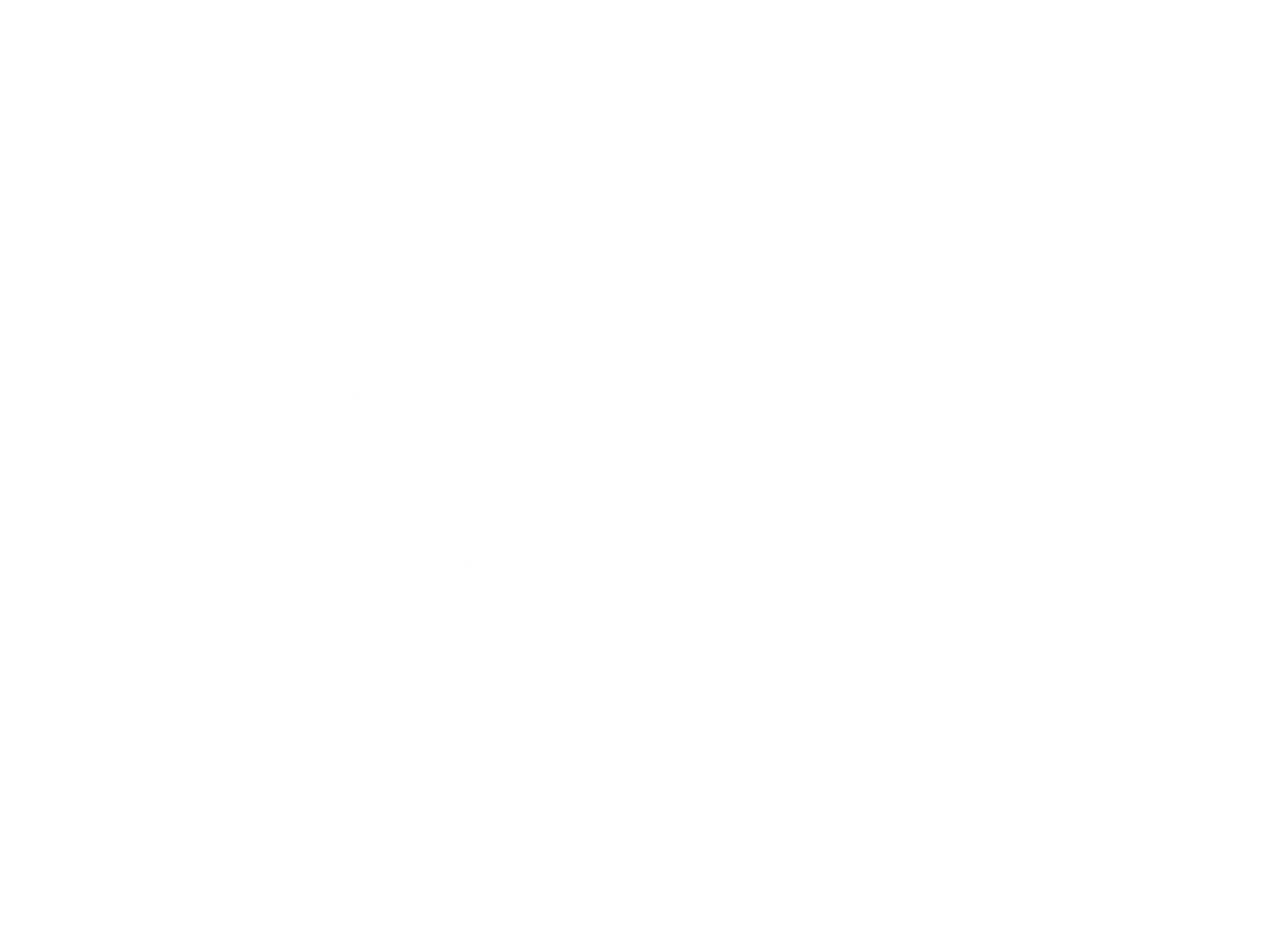 Disciples of Christ